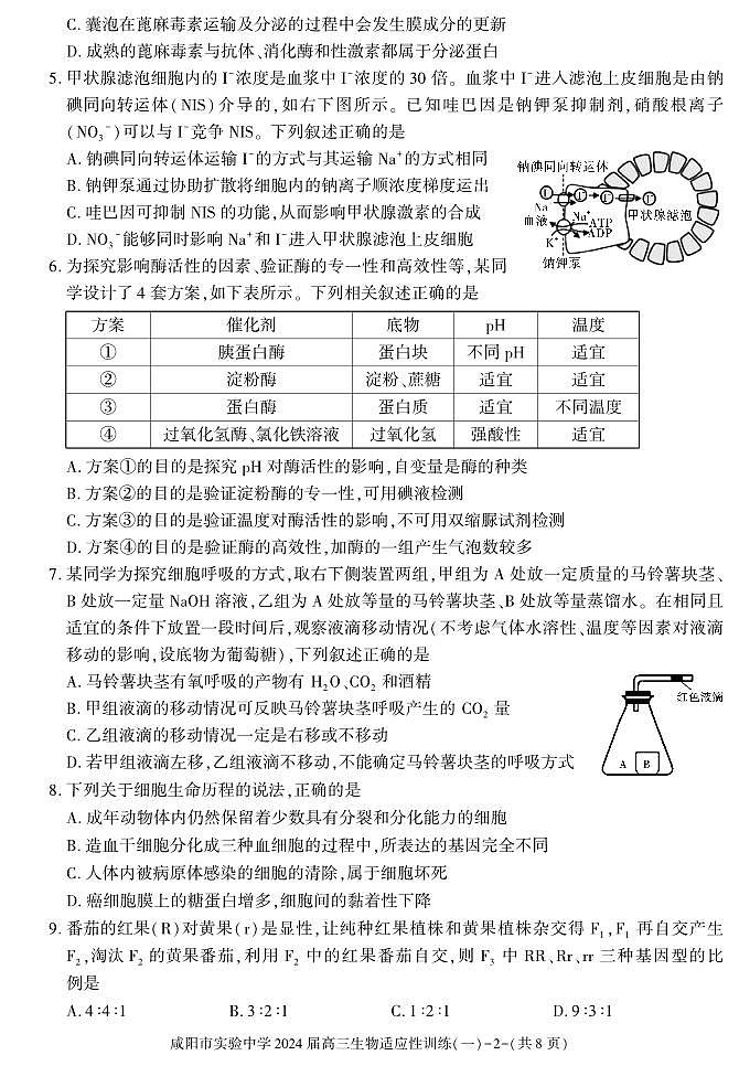 2024咸阳实验中学高三下学期适应训练(一)生物PDF版含答案02