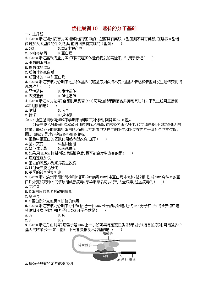 2024高考生物基础知识复习优化集训试题10遗传的分子基础第1页