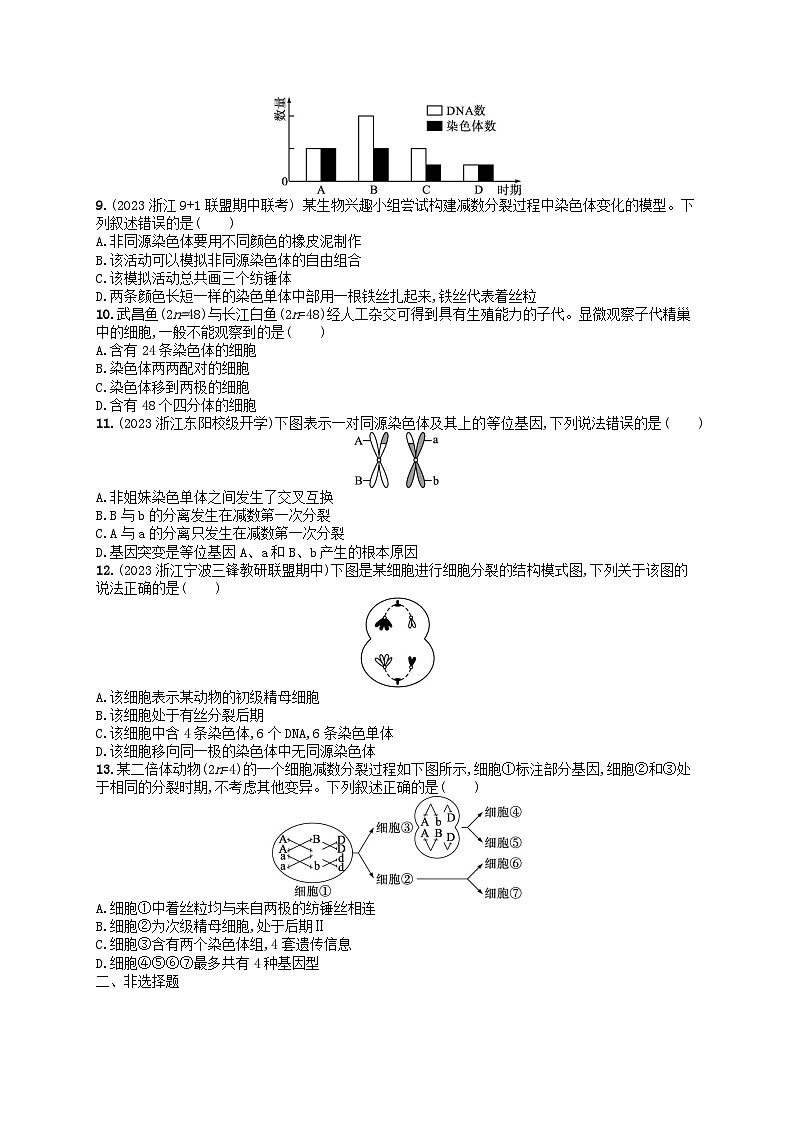 2024高考生物基础知识复习优化集训试题7减数分裂第2页