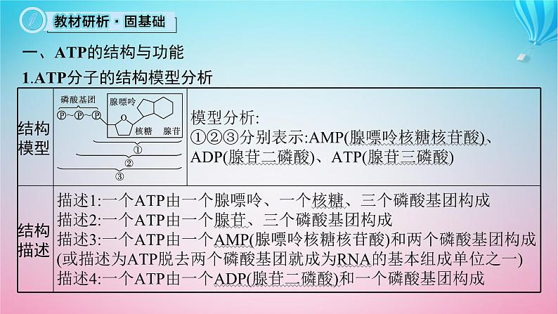 2024高考生物基础知识复习专题突破3细胞中的ATP与酶课件第5页