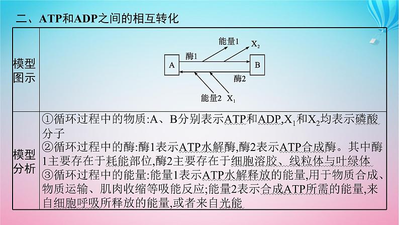 2024高考生物基础知识复习专题突破3细胞中的ATP与酶课件第7页