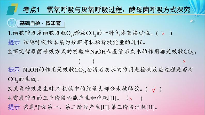 2024高考生物基础知识复习专题突破5细胞呼吸与光合作用课件第3页