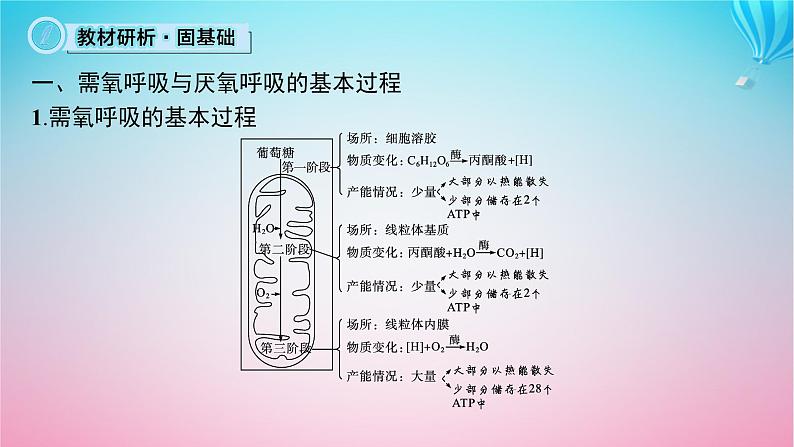 2024高考生物基础知识复习专题突破5细胞呼吸与光合作用课件第5页