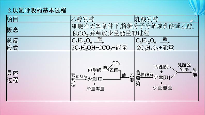 2024高考生物基础知识复习专题突破5细胞呼吸与光合作用课件第6页