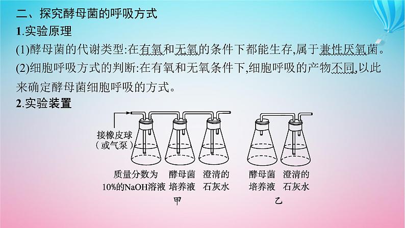 2024高考生物基础知识复习专题突破5细胞呼吸与光合作用课件第7页
