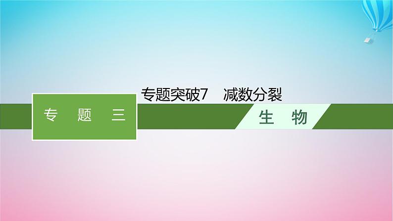 2024高考生物基础知识复习专题突破7减数分裂课件第1页