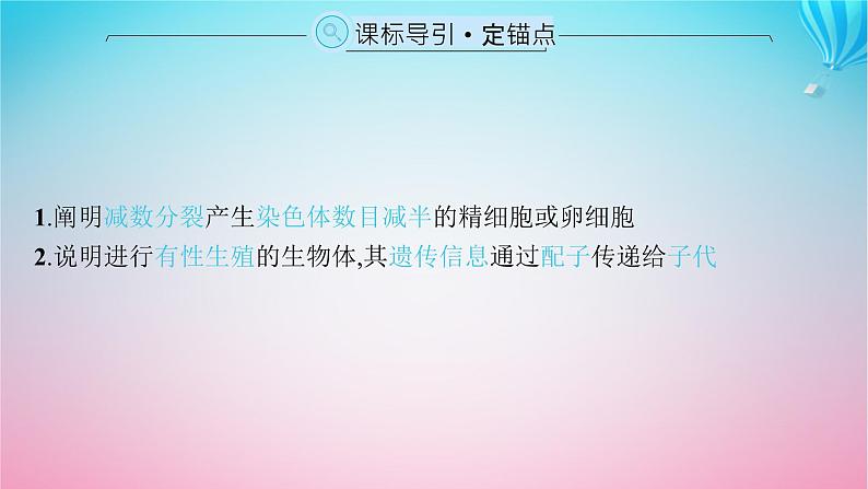 2024高考生物基础知识复习专题突破7减数分裂课件第2页