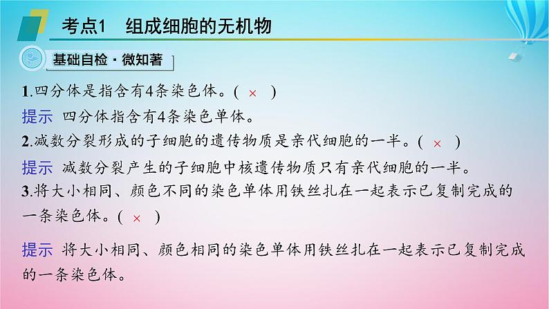 2024高考生物基础知识复习专题突破7减数分裂课件第3页