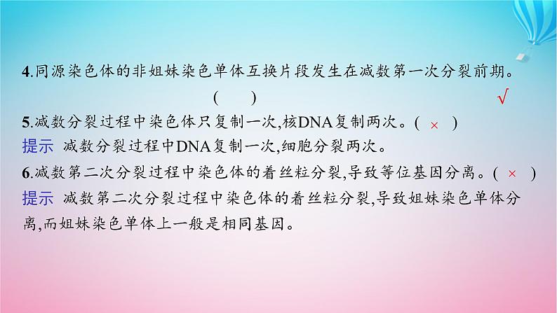 2024高考生物基础知识复习专题突破7减数分裂课件第4页