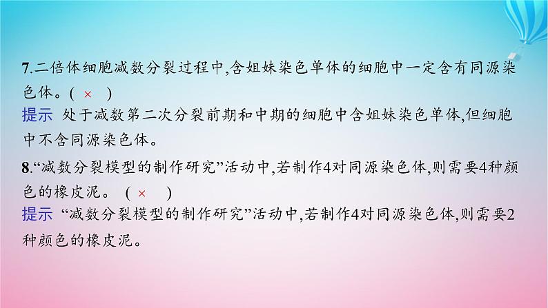 2024高考生物基础知识复习专题突破7减数分裂课件第5页