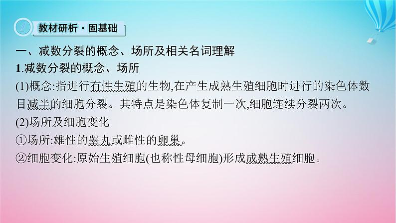 2024高考生物基础知识复习专题突破7减数分裂课件第6页