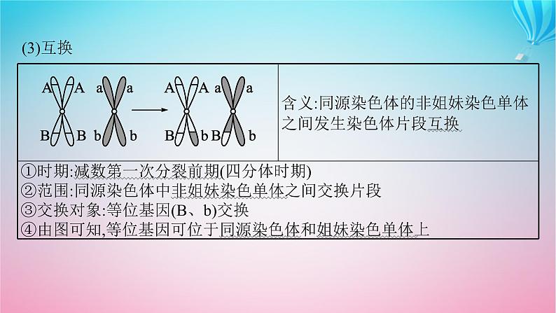 2024高考生物基础知识复习专题突破7减数分裂课件第8页