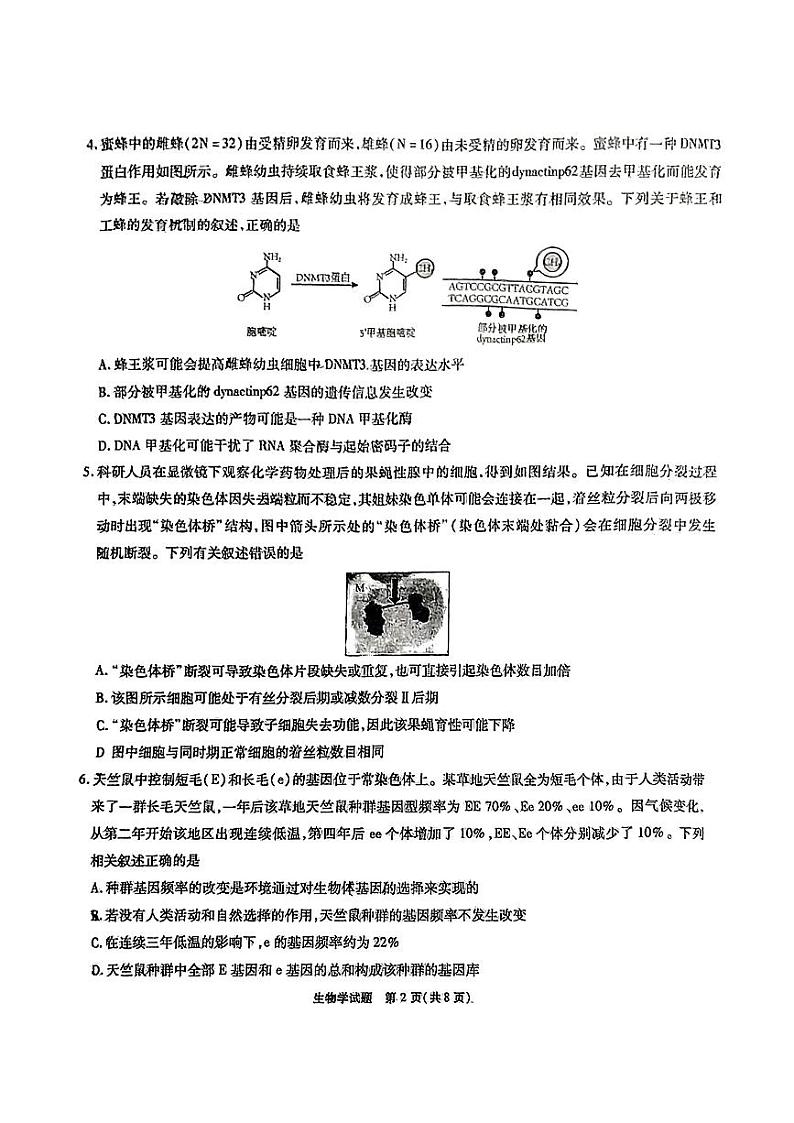 安徽省六校教育研究会2023-2024学年高三下学期下学期第二次素养测试(2月)生物02