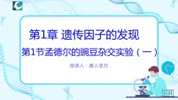 人教版（2019）高中生物学  必修二   遗传与进化   1.1.2孟德尔豌豆杂交实验（一）第2课时   课件