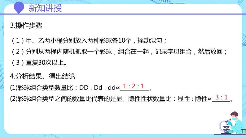 人教版(2019)高中生物学 必修二 遗传与进化 1.1.2孟德尔豌豆杂交实验(一)第2课时 课件04