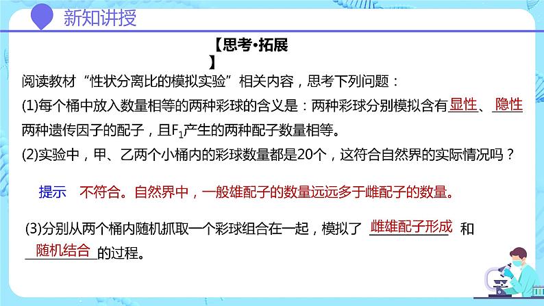 人教版(2019)高中生物学 必修二 遗传与进化 1.1.2孟德尔豌豆杂交实验(一)第2课时 课件05
