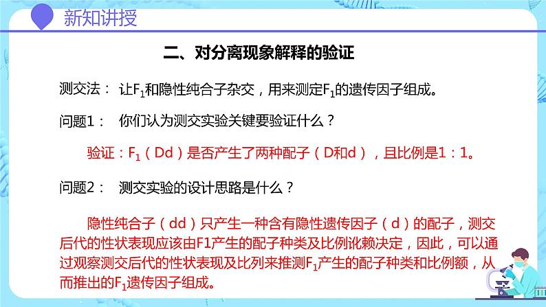 人教版(2019)高中生物学 必修二 遗传与进化 1.1.2孟德尔豌豆杂交实验(一)第2课时 课件07
