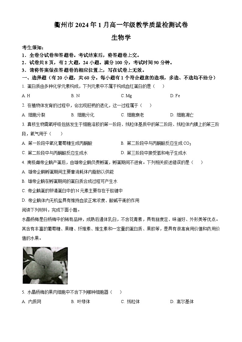 2024衢州高一上学期1月期末试题生物含解析01