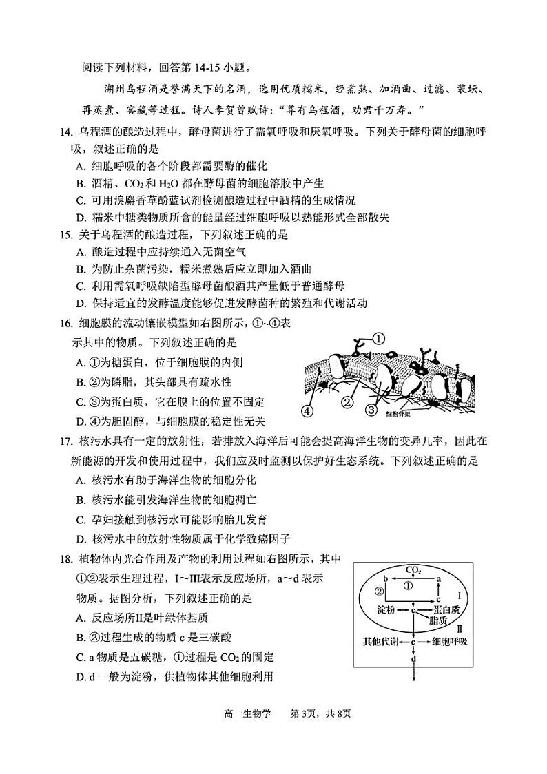 2024湖州高一上学期1月期末考试生物PDF版含答案03