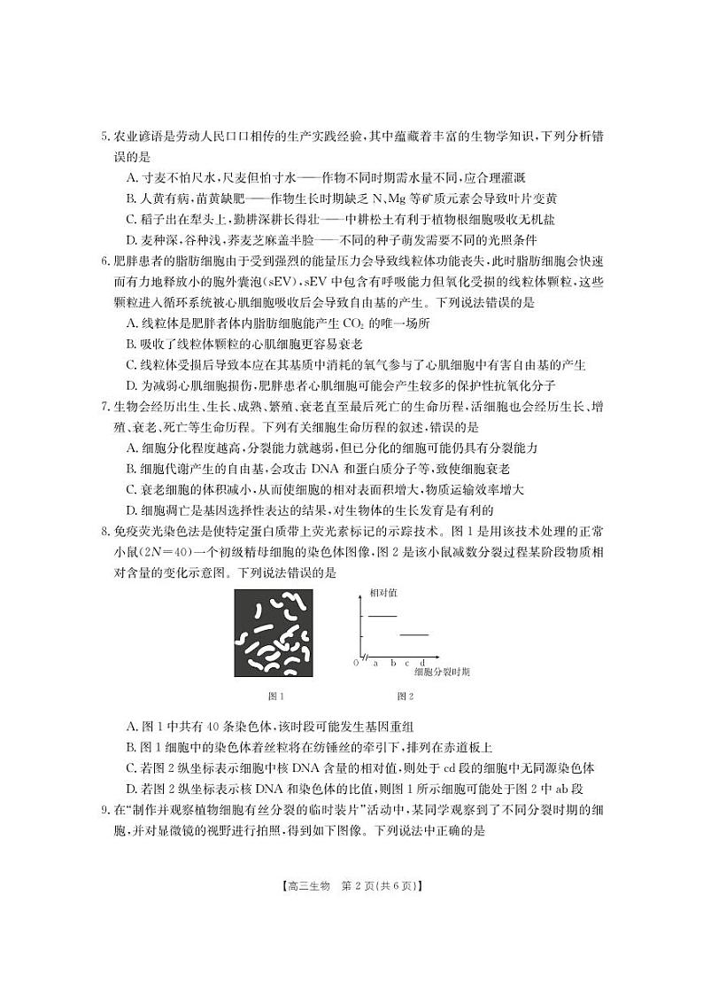 福建省2023_2024高三生物上学期期中质量监测试题第2页