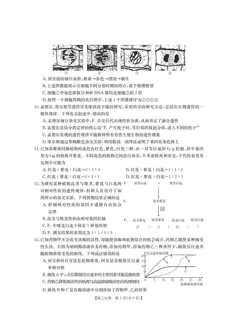 福建省2023_2024高三生物上学期期中质量监测试题第3页