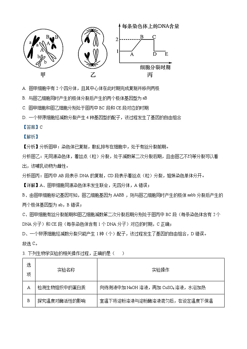 福建省安溪一中、养正中学、惠安一中、泉州实验中学2023-2024学年高三2月四校联考生物试题(解析版)第2页