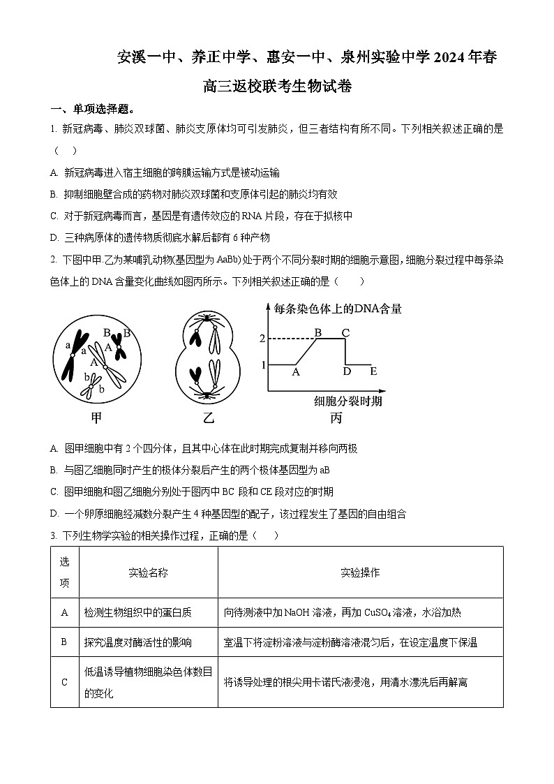 福建省安溪一中、养正中学、惠安一中、泉州实验中学2023-2024学年高三2月四校联考生物试题(原卷版)第1页