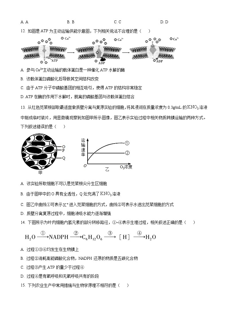 福建省莆田市七校2023-2024學(xué)年高一上學(xué)期期末聯(lián)考生物試題（原卷版）第3頁