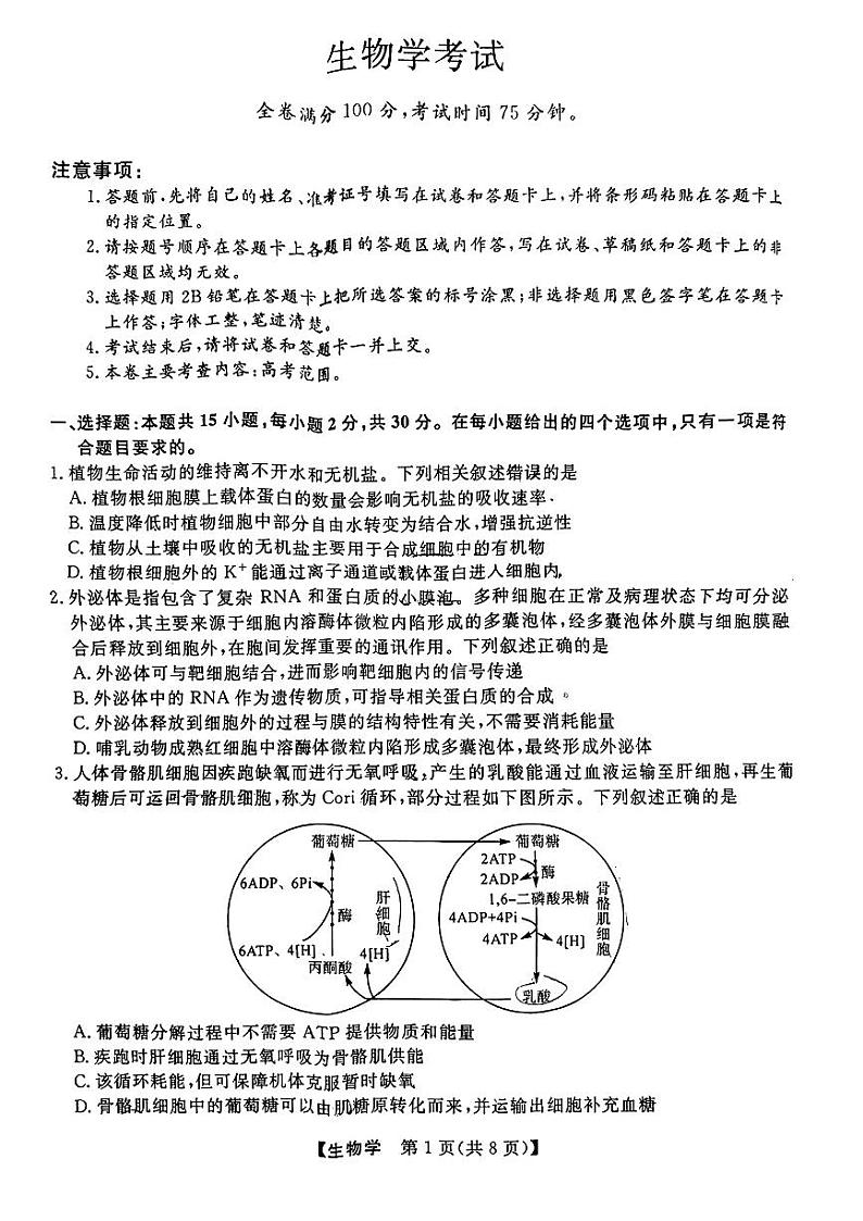 2024届齐齐哈尔市高三一模生物试题和答案01