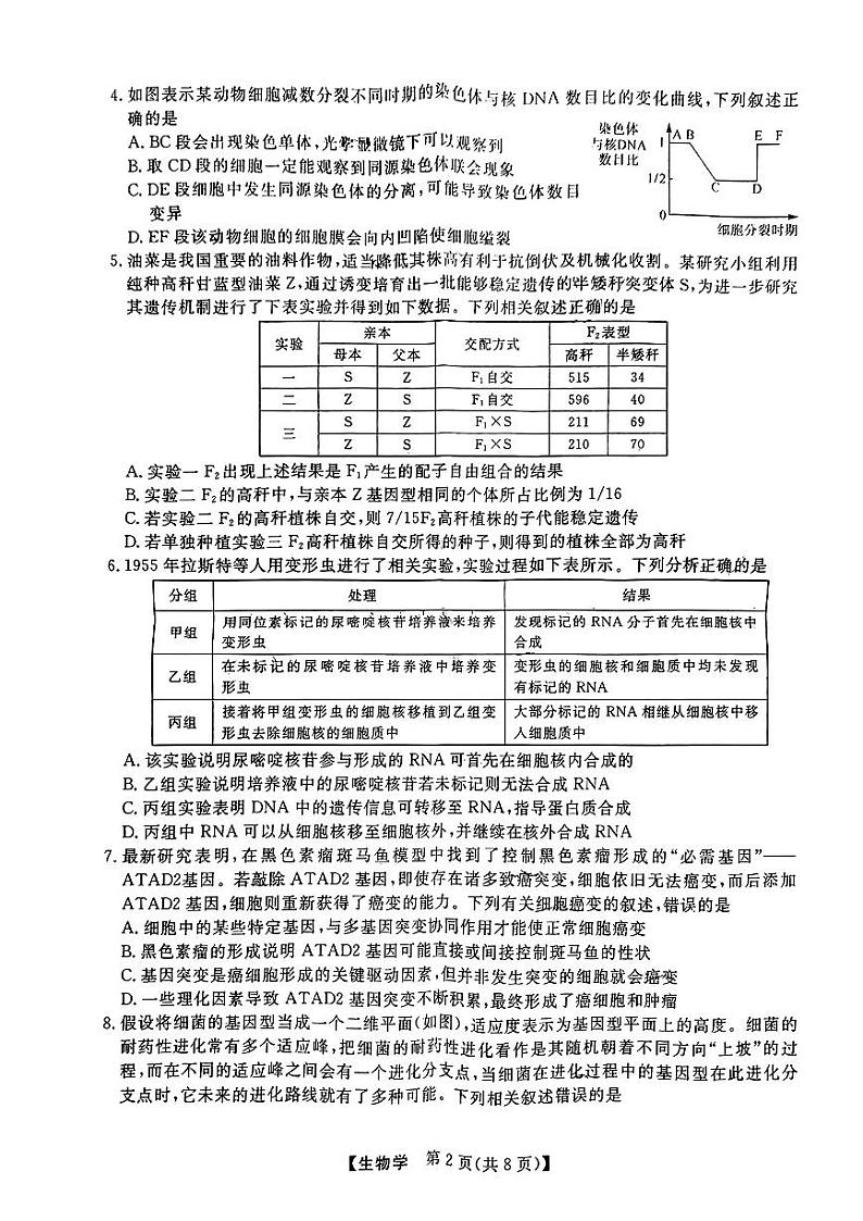 2024届齐齐哈尔市高三一模生物试题和答案02