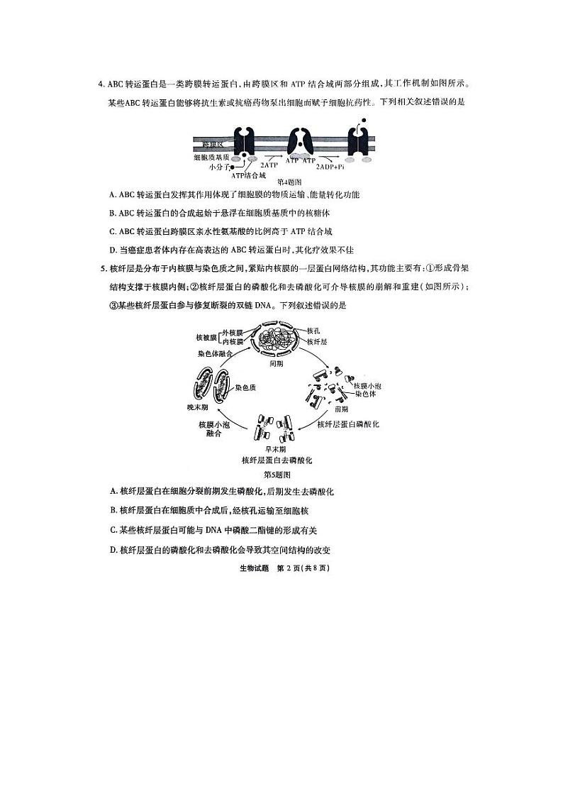 重庆市南开中学2023-2024学年高三下2月月考生物试题第2页