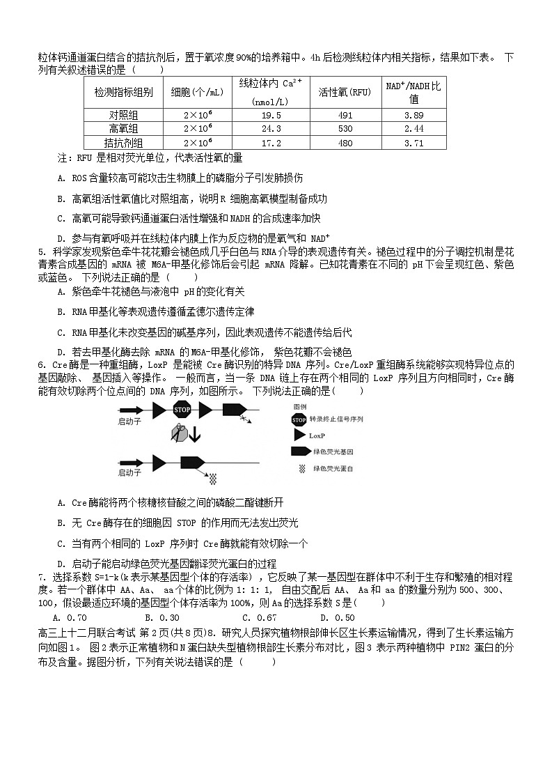 03,2024届重庆市拔尖强基联盟(重庆育才中学、西南大学附属中学、重庆万州中学)高三下学期2月联合考试生物试题第2页