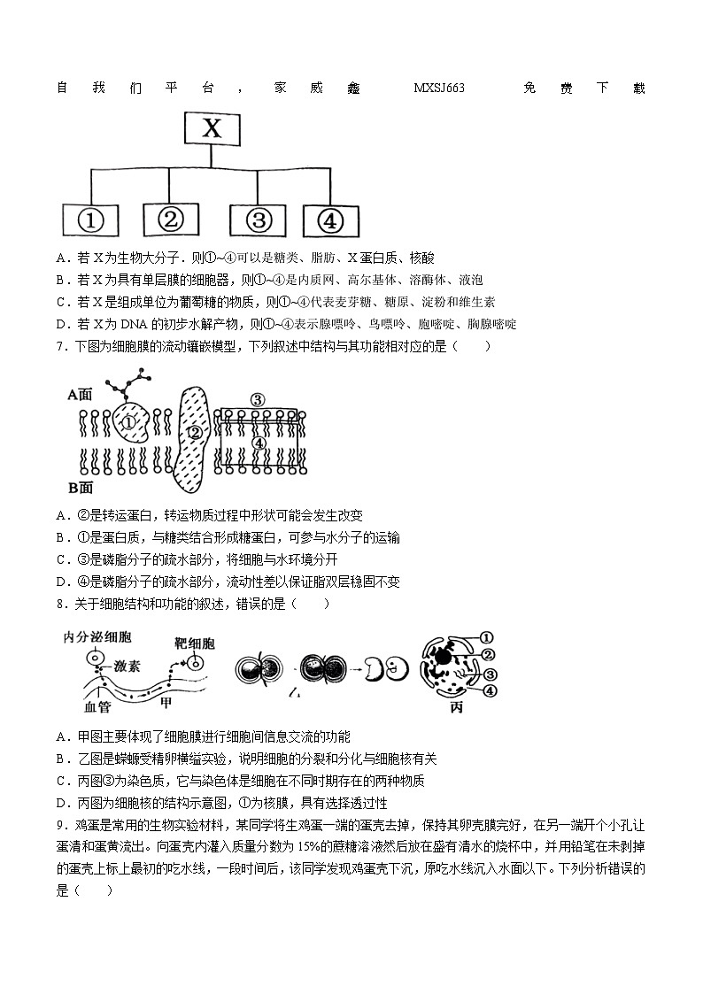 06,江西省抚州市南城一中2023—2024学年高一下学期开学考试生物试题()第2页