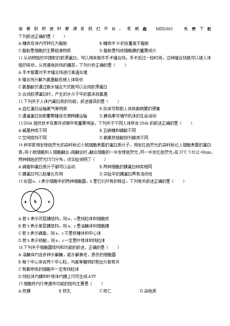 15,安徽省马鞍山市2023-2024学年高一上学期期末生物试题()02