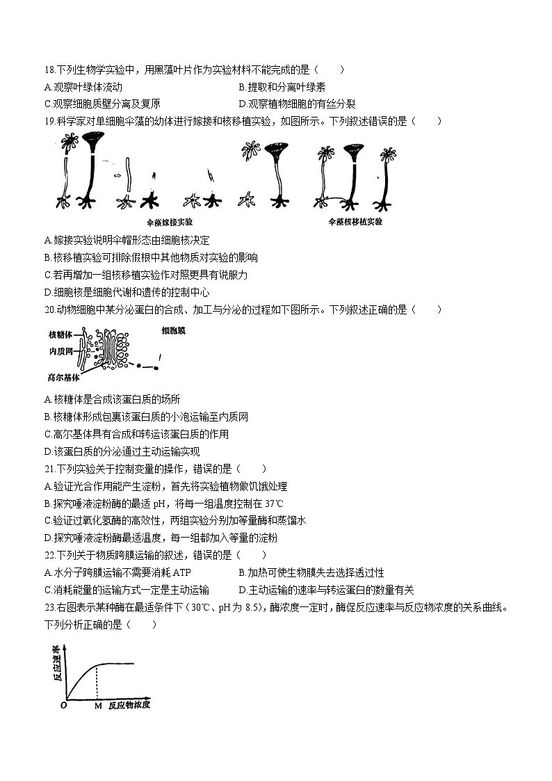 15,安徽省马鞍山市2023-2024学年高一上学期期末生物试题()03