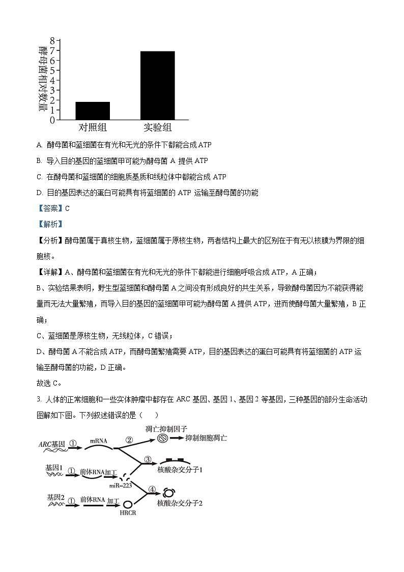 26,江西省红色十校2023-2024学年高三下学期2月联考生物试题第2页