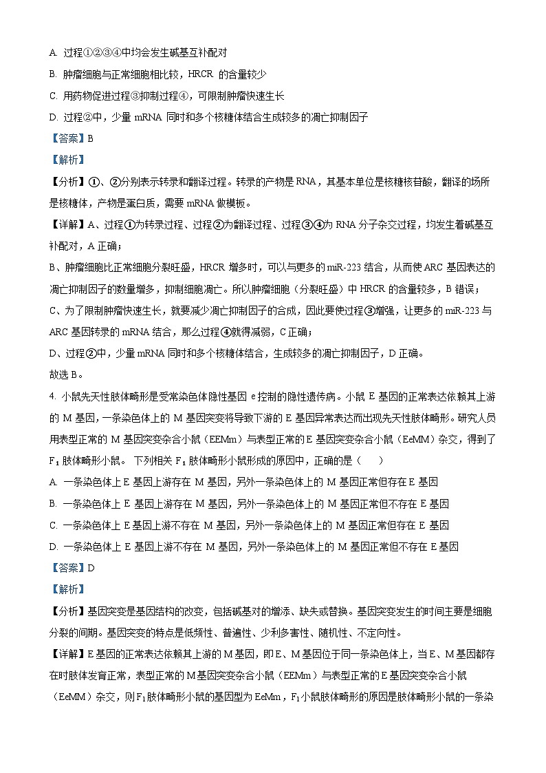 26,江西省红色十校2023-2024学年高三下学期2月联考生物试题第3页