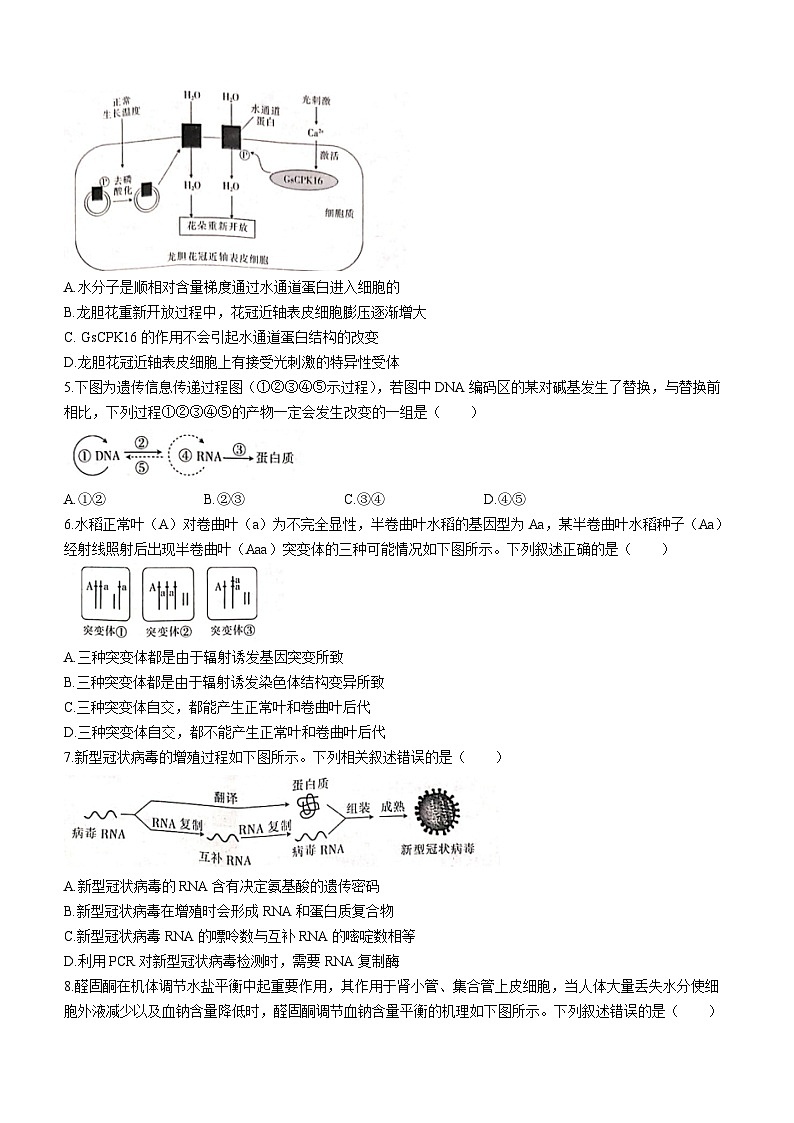 35,江西省上进联盟2023-2024学年高三下学期一轮复习检测(开学考)生物试题02