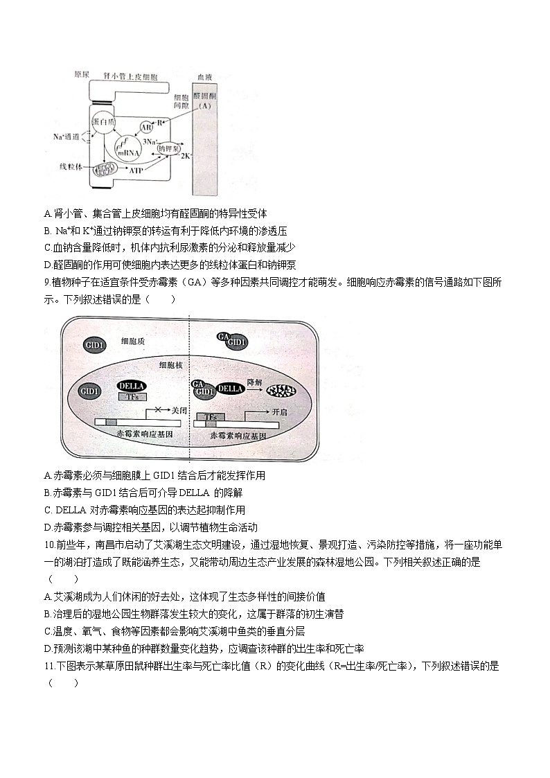 35,江西省上进联盟2023-2024学年高三下学期一轮复习检测(开学考)生物试题03