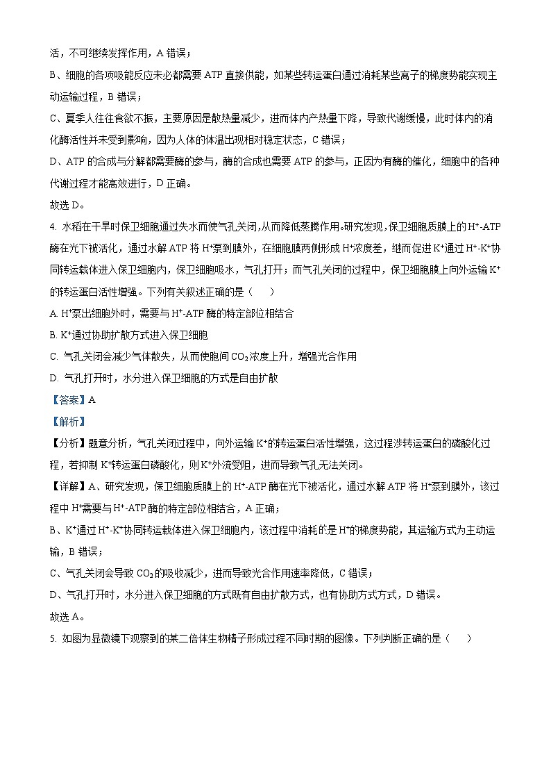 40,2024届安徽省六安市高三质量检测生物试题第3页