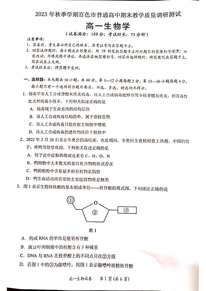 2024壮族自治区百色高一上学期期末考试生物PDF版含解析第1页