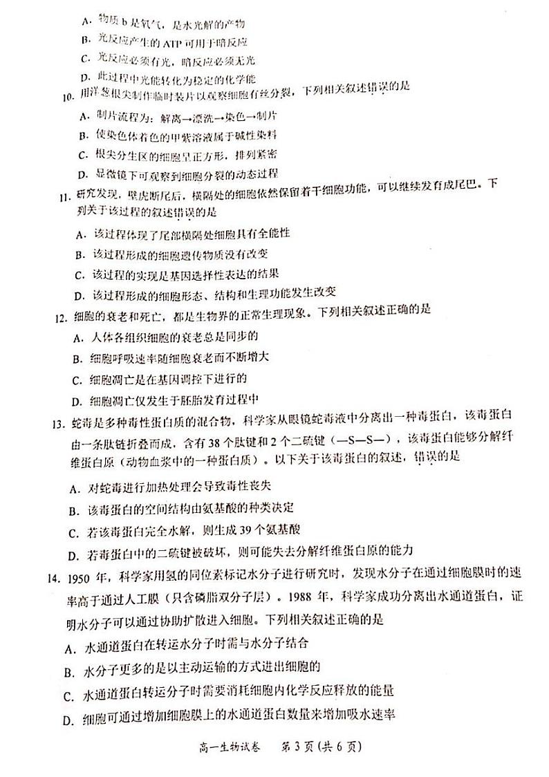 2024壮族自治区百色高一上学期期末考试生物PDF版含解析第3页