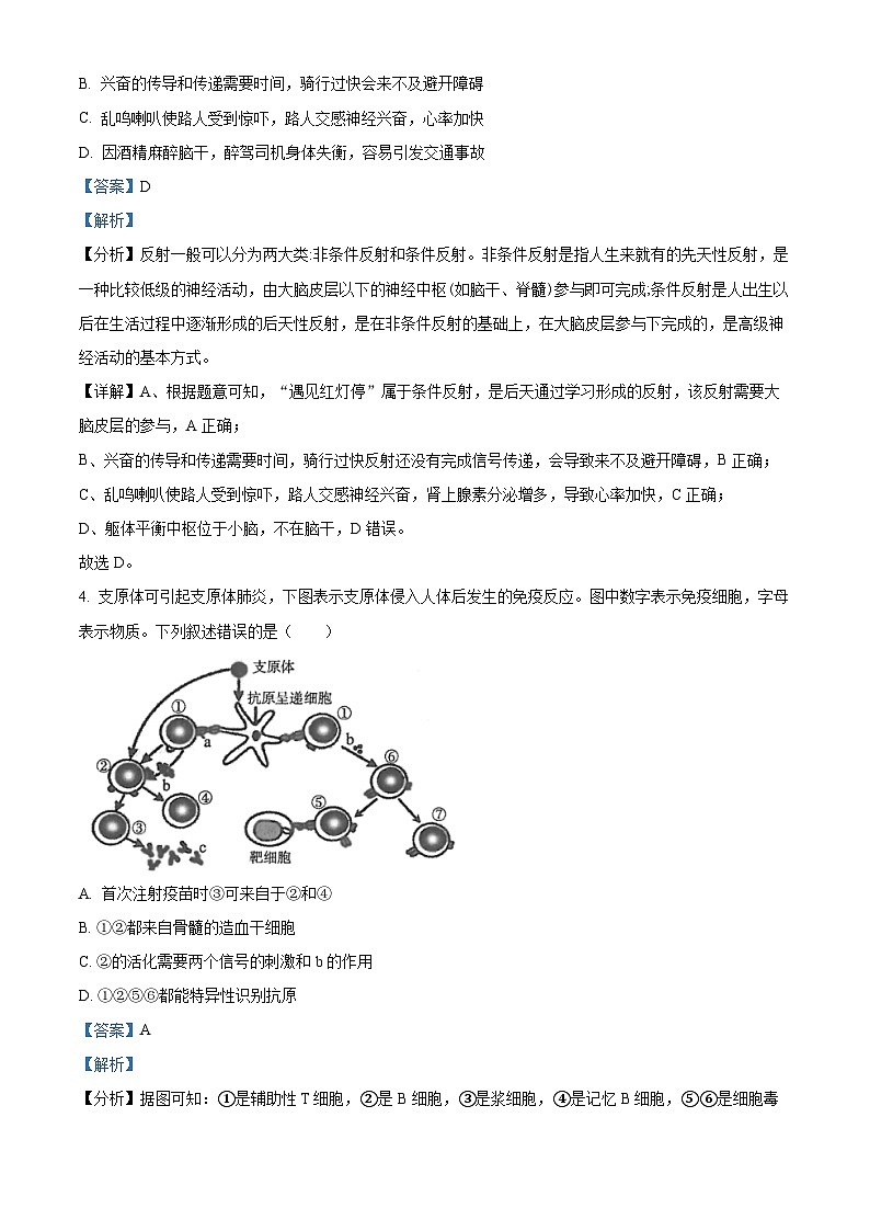 福建省厦门市2023-2024学年高二1月期末生物试题(解析版)第3页