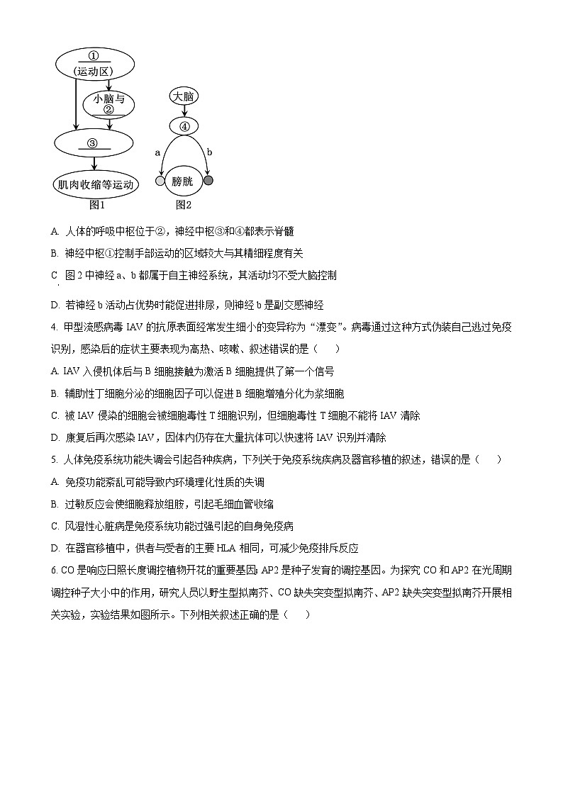 江西省部分学校2023-2024学年高二上学期1月期末生物试题(Word版附解析)02