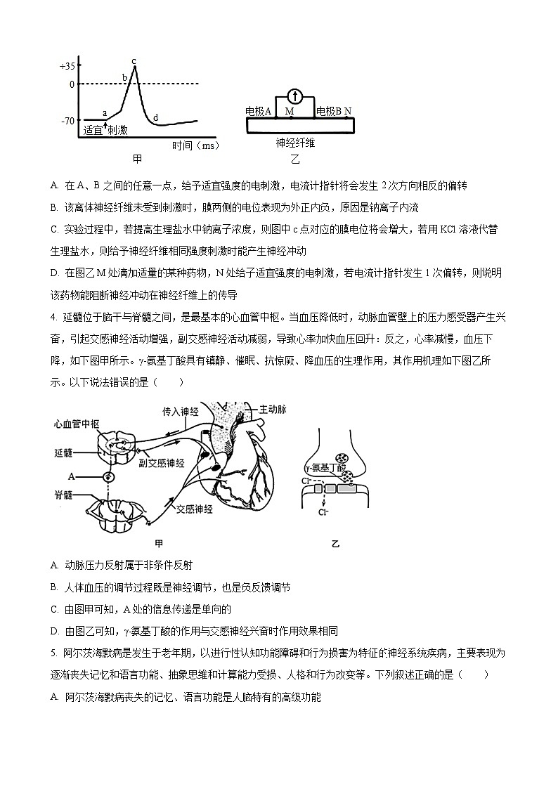 安徽省六安市一中2023-2024学年高二上学期期末生物试题 Word版无答案第2页