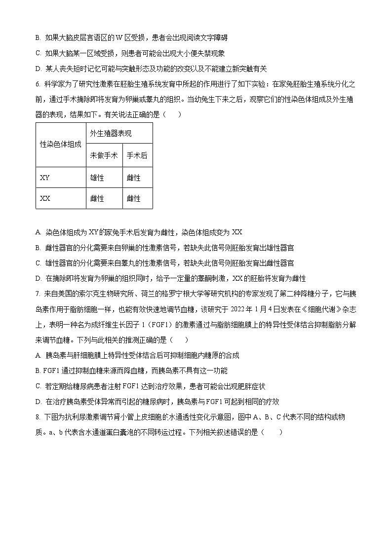 安徽省六安市一中2023-2024学年高二上学期期末生物试题 Word版无答案第3页