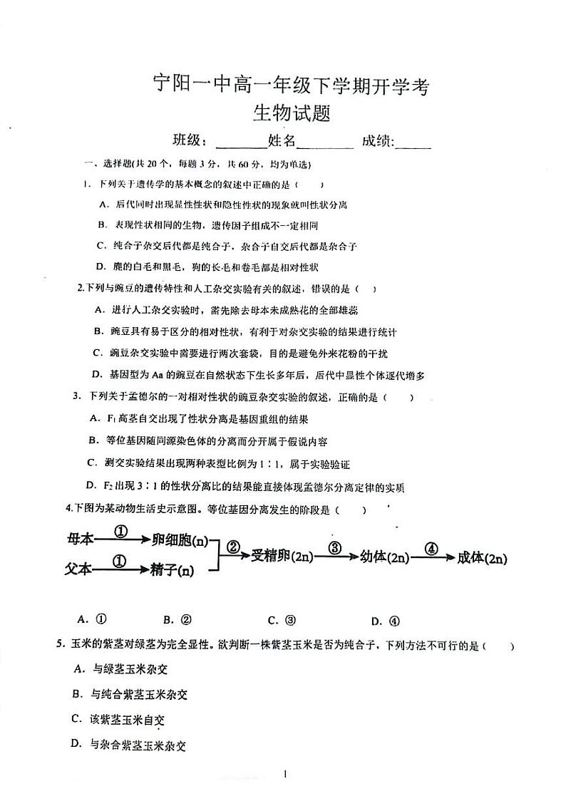 山东省泰安市宁阳县第一中学2023-2024学年高一下学期开学考试生物试题01