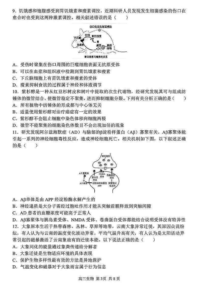 黑龙江省哈尔滨市第三中学校2023—2024学年高三下学期第一次模拟考试生物试卷第3页