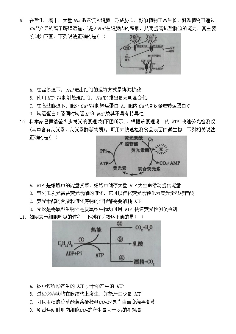 湖北省新高考联考协作体2023-2024学年高一下学期2月开学收心考试生物试卷（Word版附解析）03