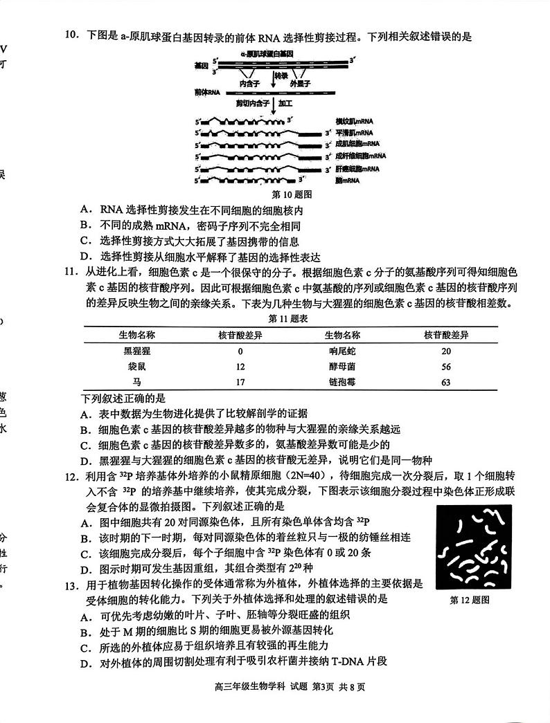 浙江省七彩阳光联盟2023-2024学年高三下学期开学生物试题第3页